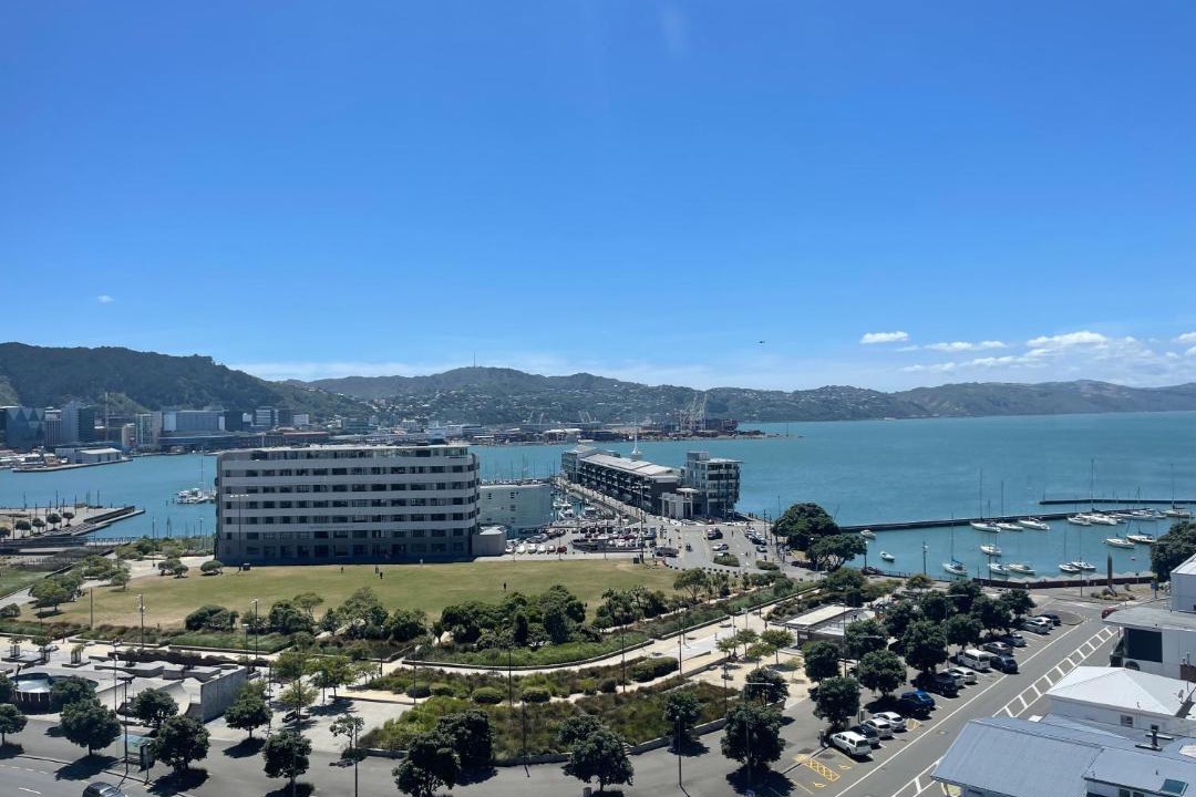 Photo of Others in Oriental Bay