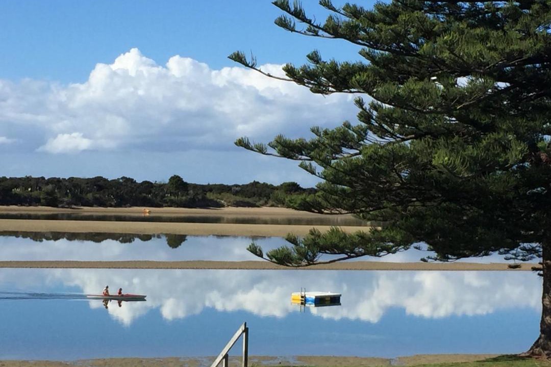 Photo of Others in Ngunguru