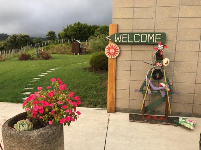 Photo of Others in Waipu
