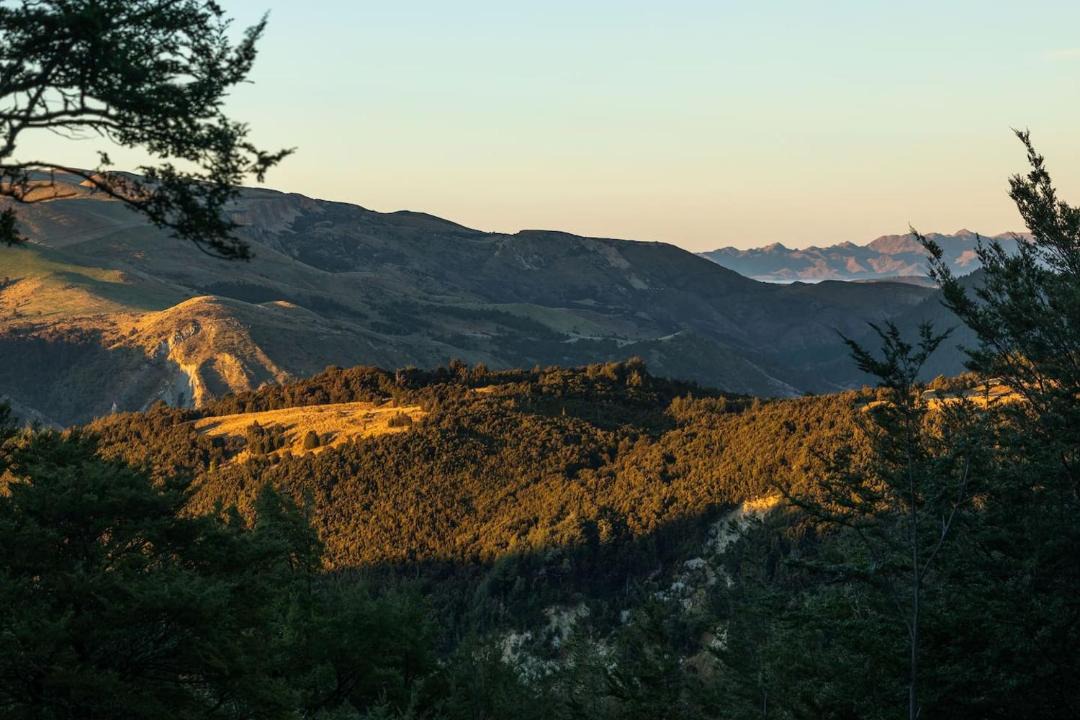 Photo of Others in Mt Lyford