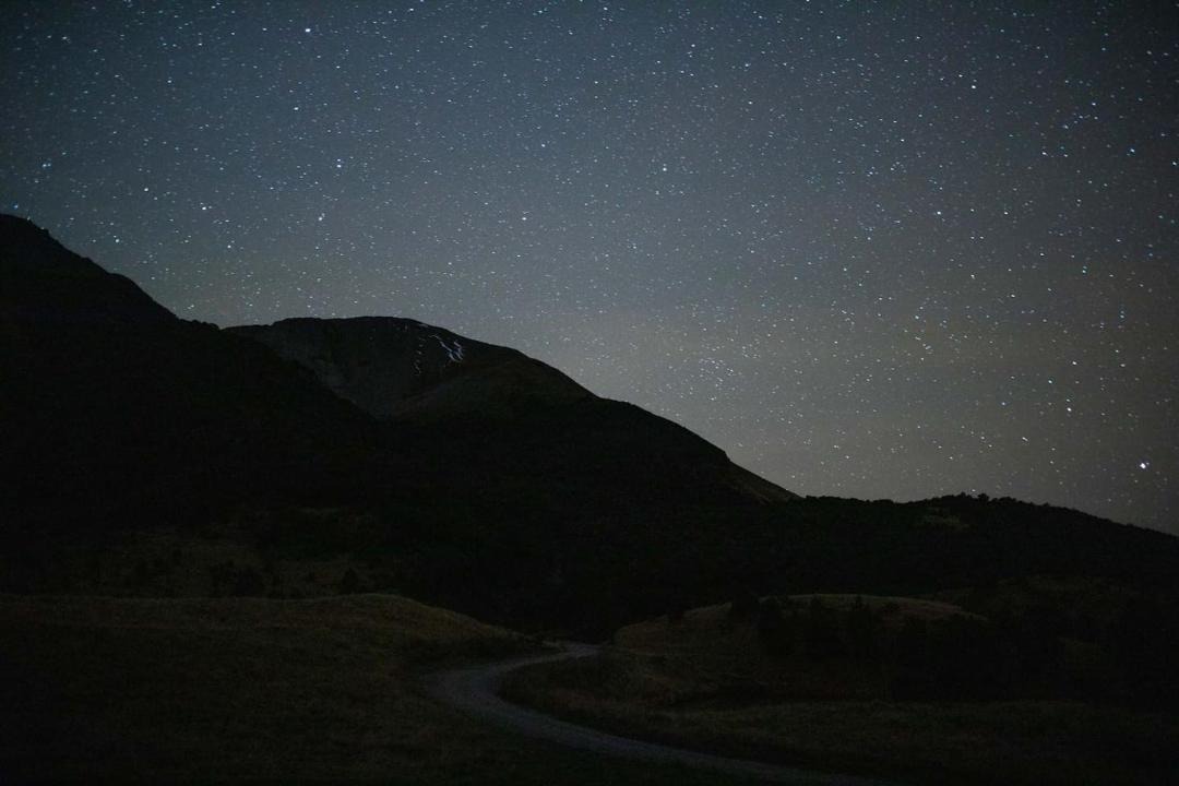 Photo of Others in Mt Lyford