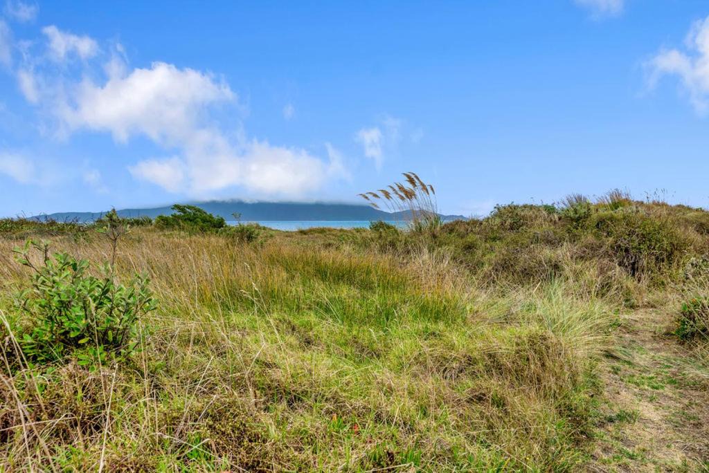 Photo of Others in Waikanae