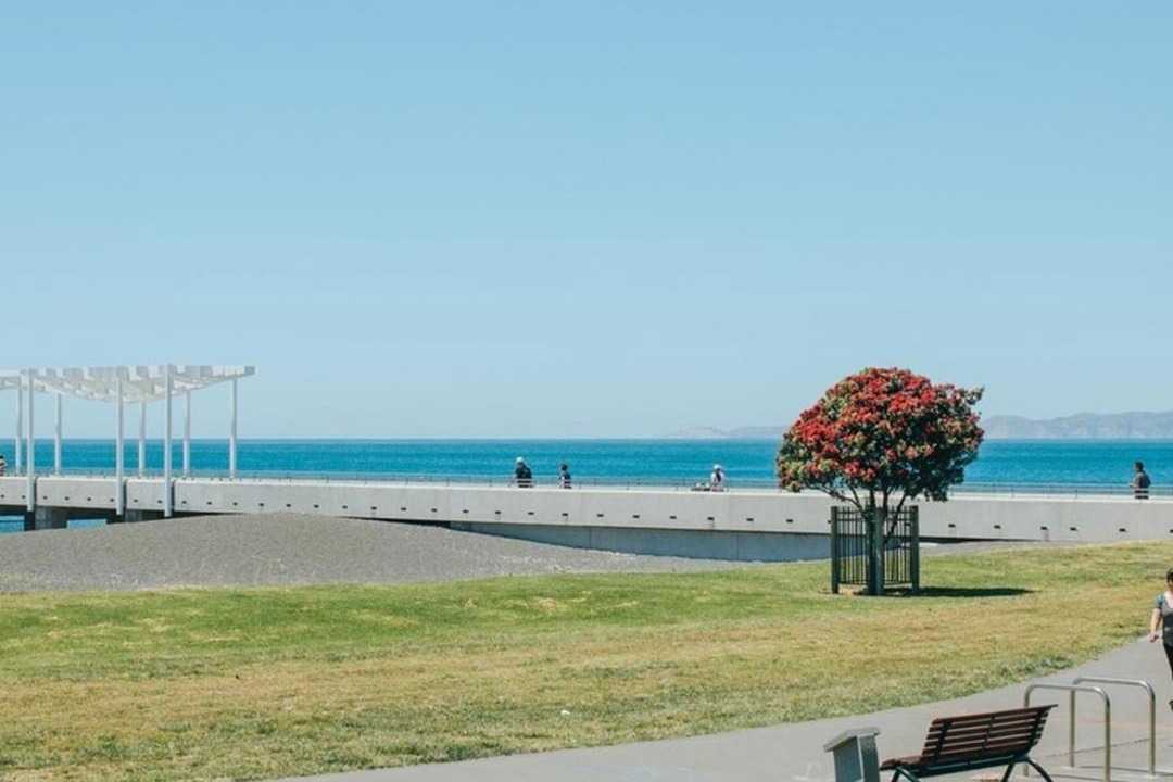 Photo of Others in Napier