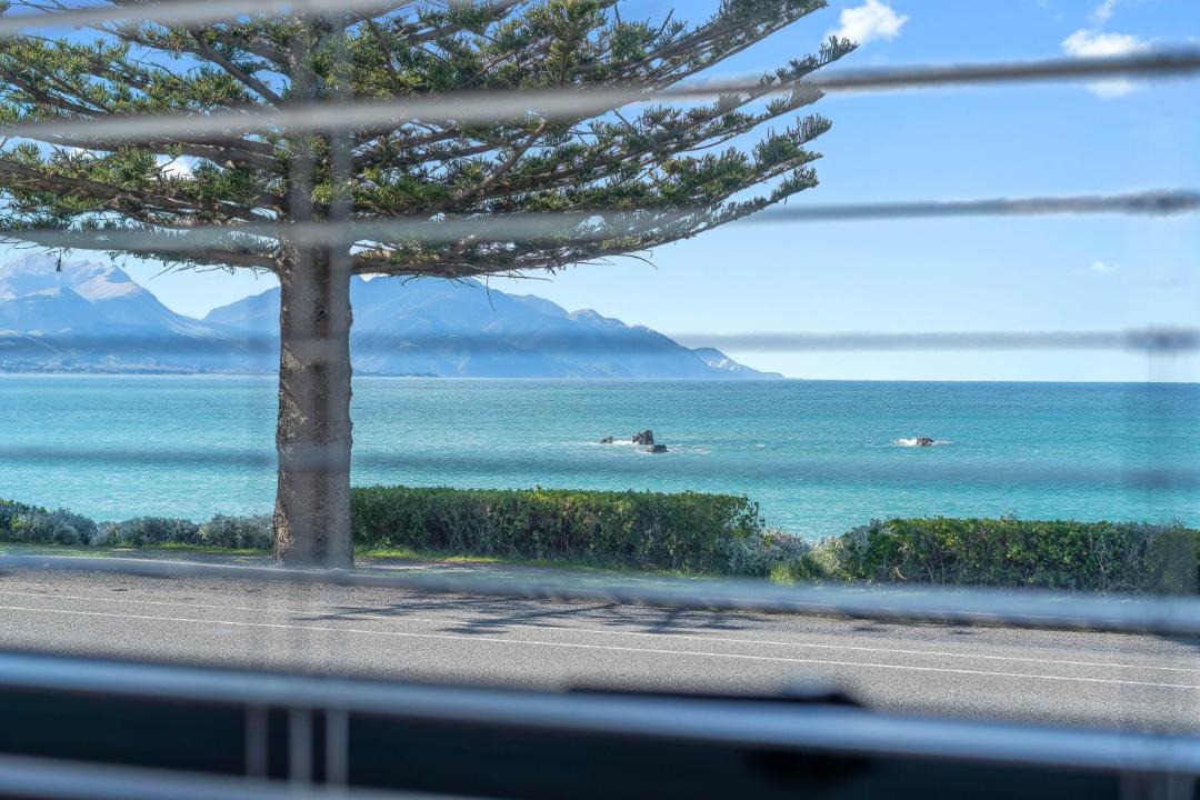 Photo of Others in Kaikoura