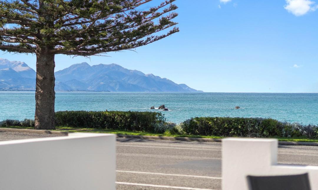 Photo of Others in Kaikoura