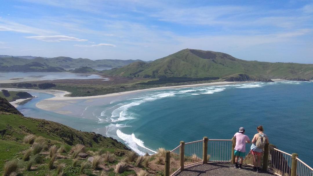 Photo of Others in Dunedin