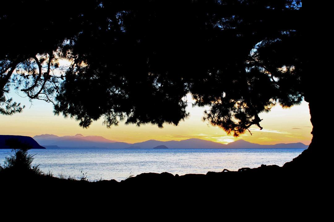 Photo of Others in Taupo