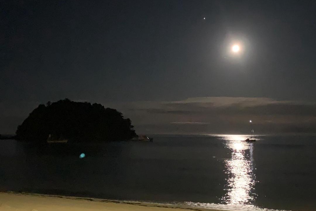 Photo of Others in Ngaio Bay
