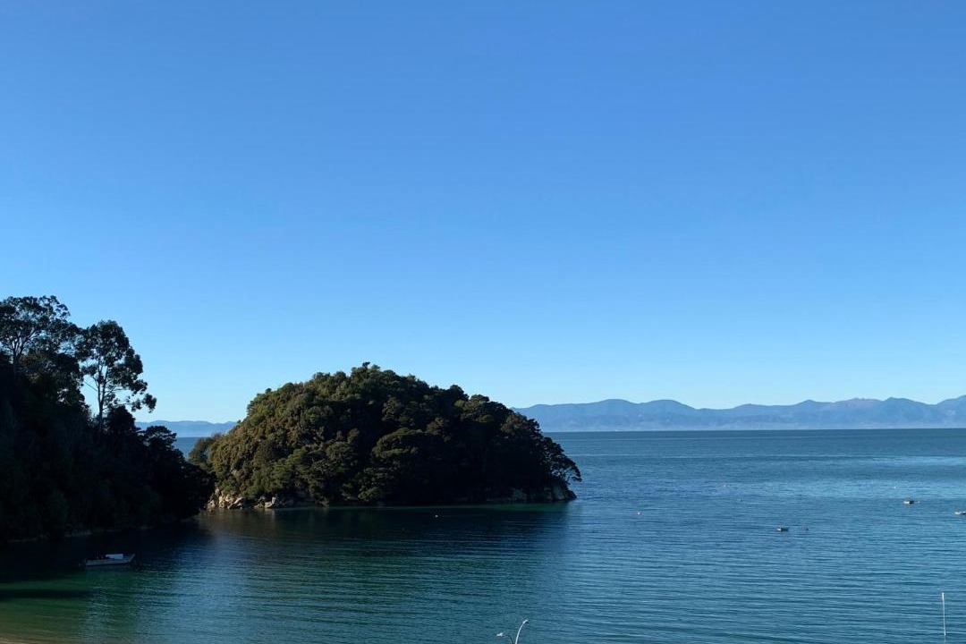 Photo of Others in Ngaio Bay