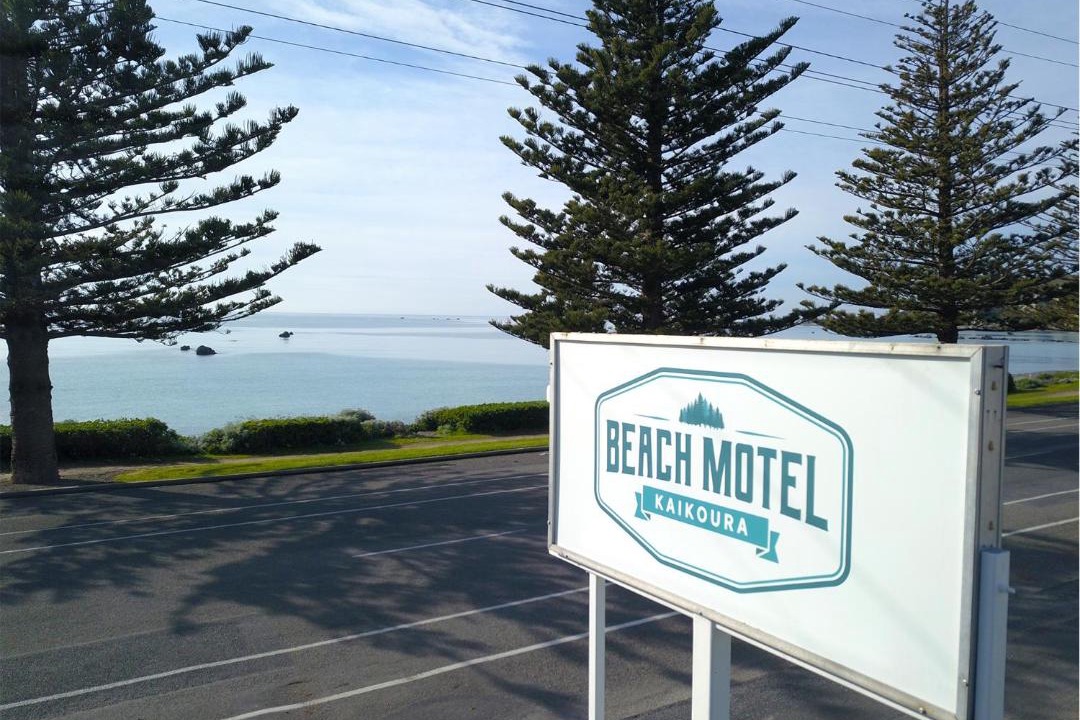 Photo of Others in Kaikoura