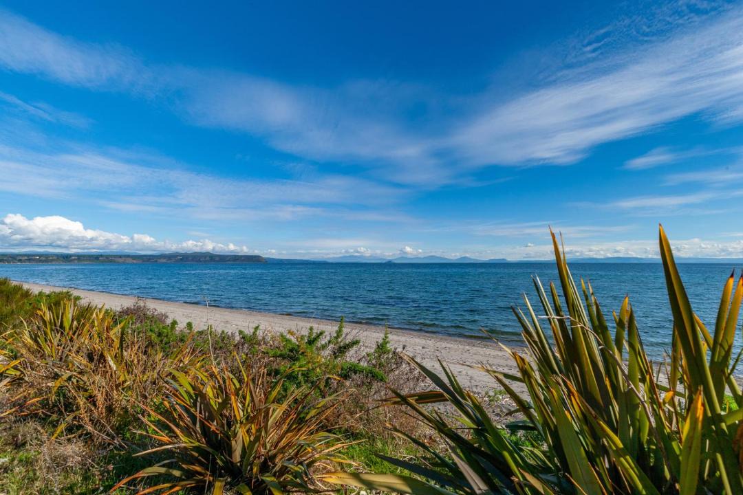 Photo of Others in Waitahanui
