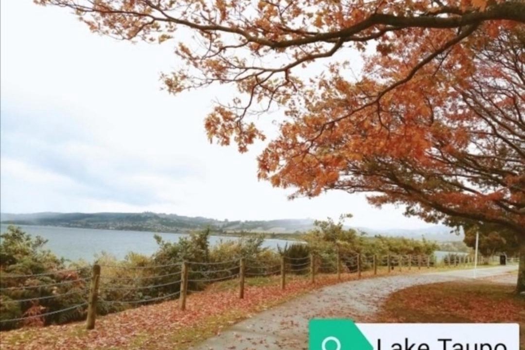 Photo of Others in Taupo