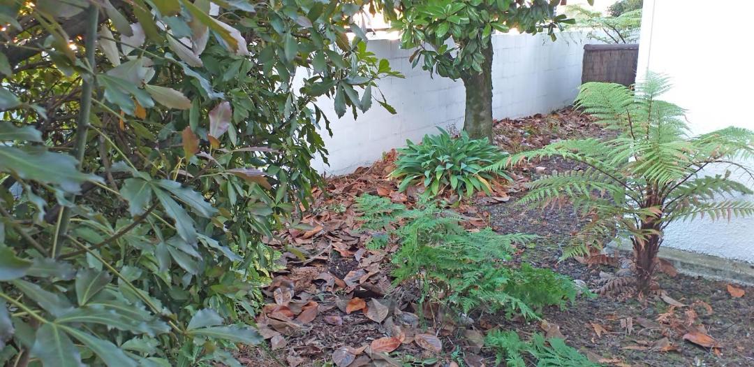 Photo of Others in Palmerston North