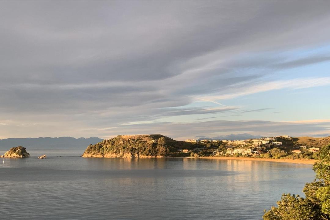 Photo of Others in Ngaio Bay