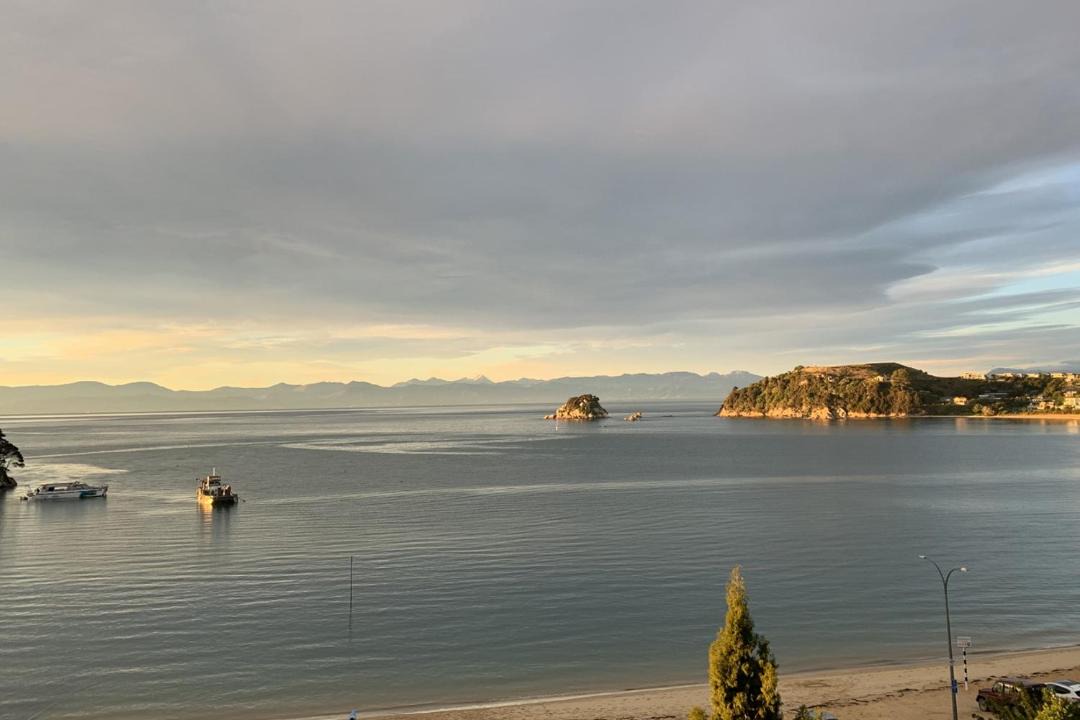 Photo of Others in Ngaio Bay