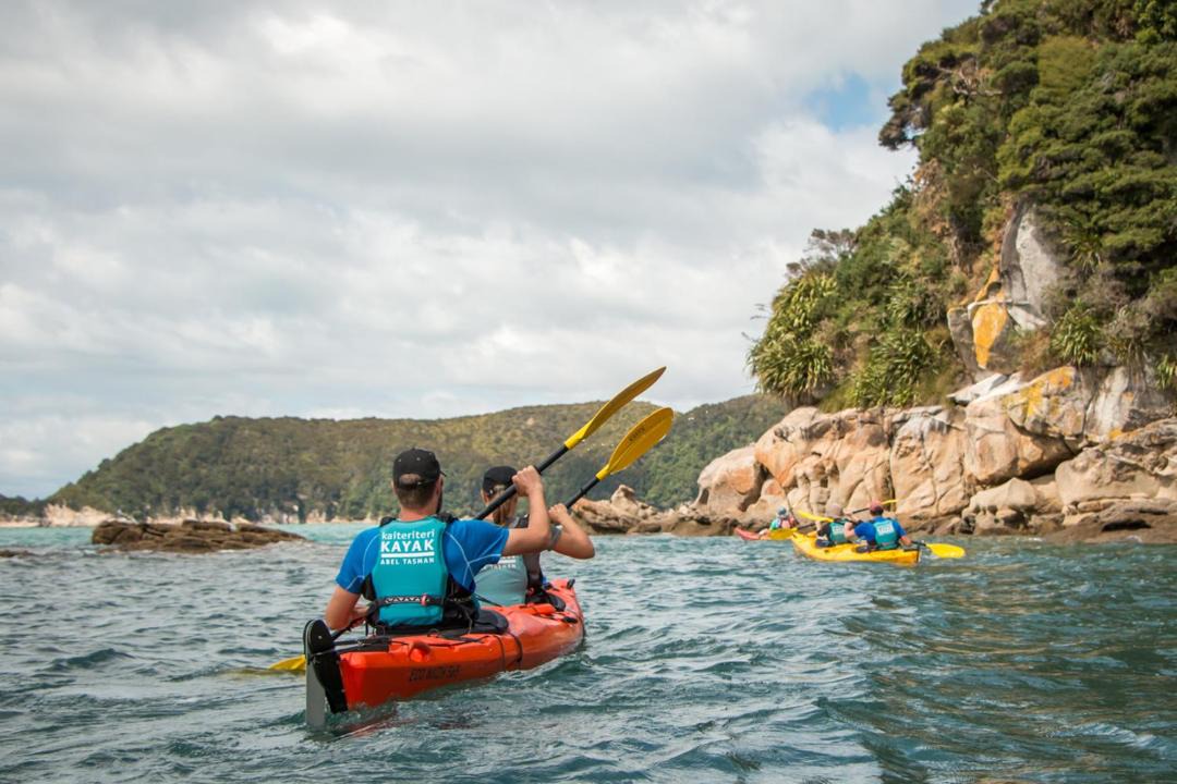 Photo of Others in Ngaio Bay