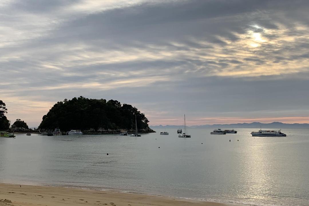 Photo of Others in Ngaio Bay