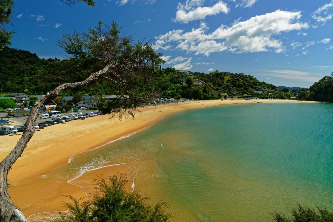 Photo of Others in Ngaio Bay