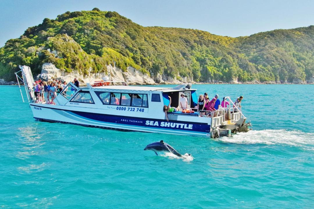 Photo of Others in Ngaio Bay