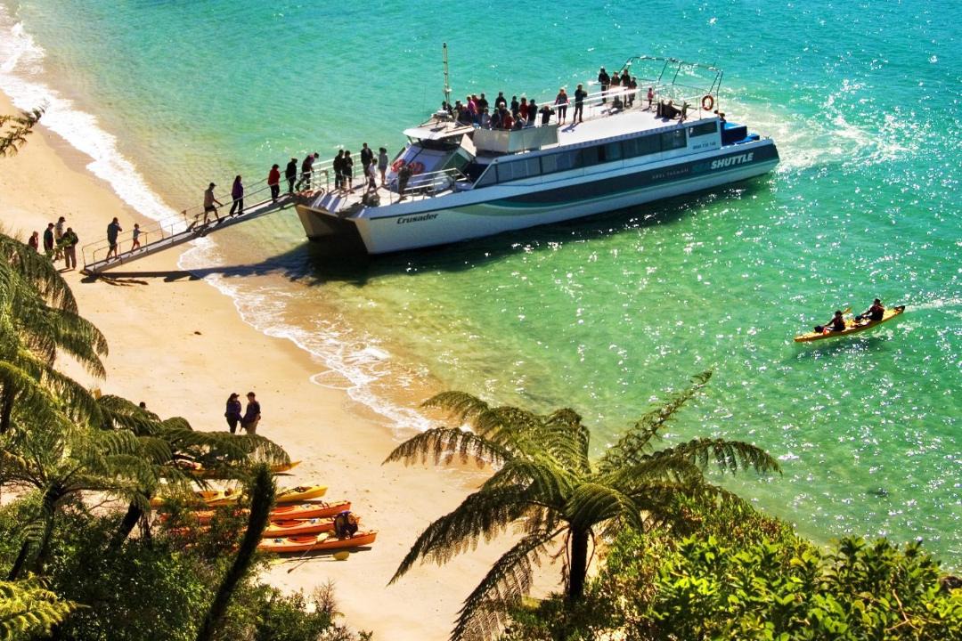 Photo of Others in Ngaio Bay