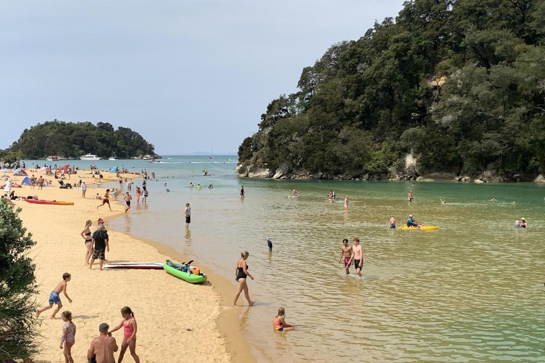 Photo of Others in Ngaio Bay