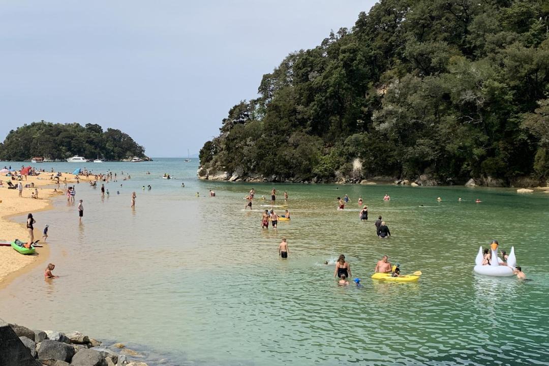 Photo of Others in Ngaio Bay