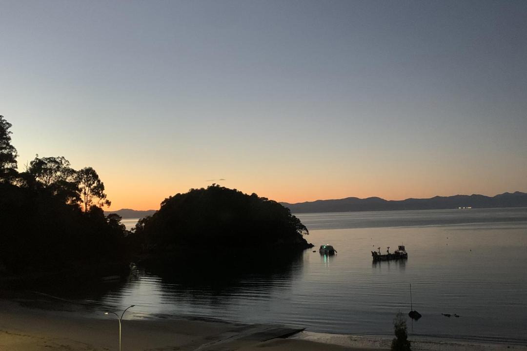 Photo of Others in Ngaio Bay