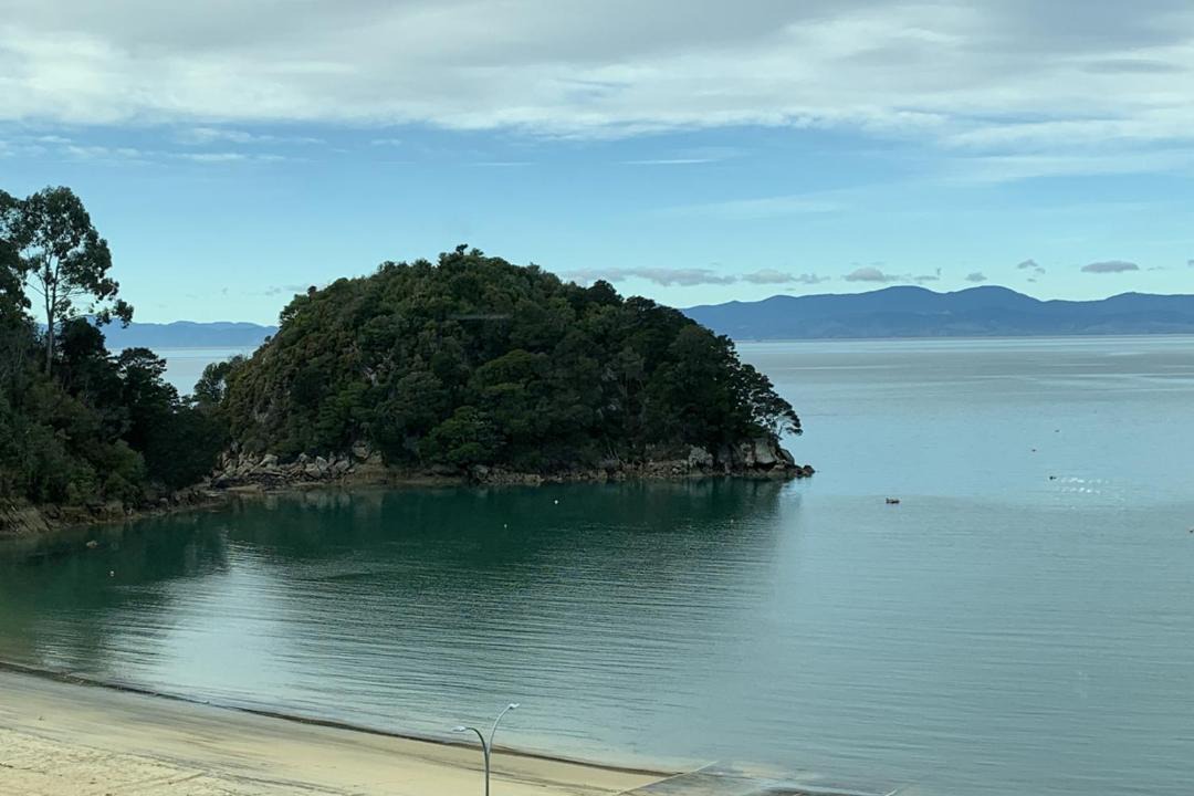 Photo of Others in Ngaio Bay