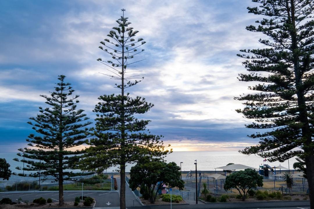 Photo of Others in Napier