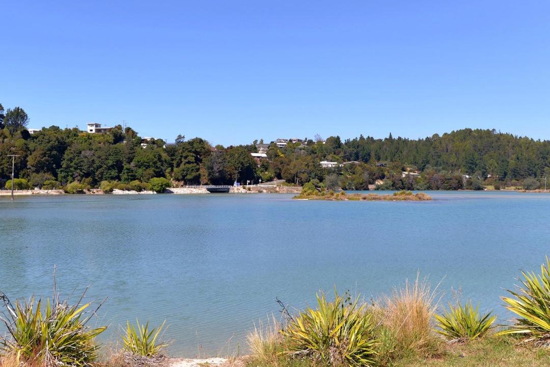Photo of Others in Ngaio Bay