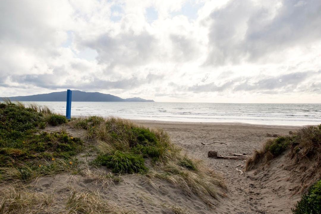 Photo of Others in Waikanae