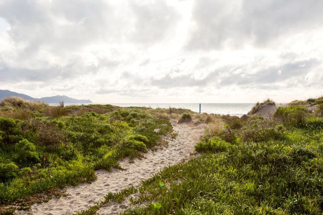 Photo of Others in Waikanae