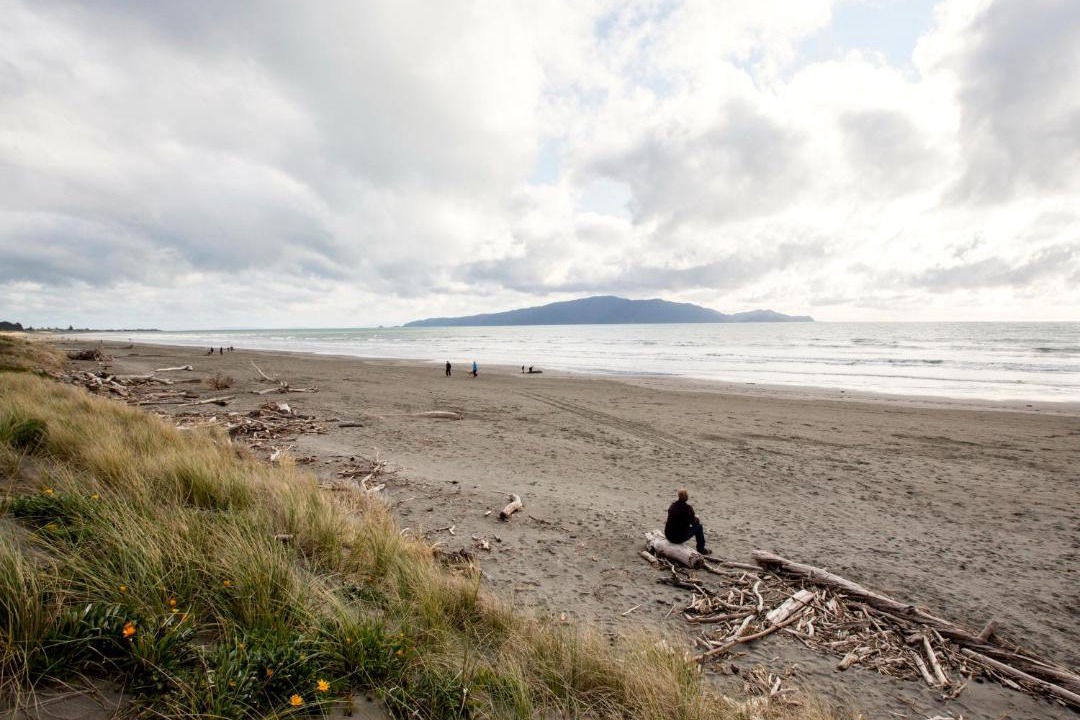 Photo of Others in Waikanae