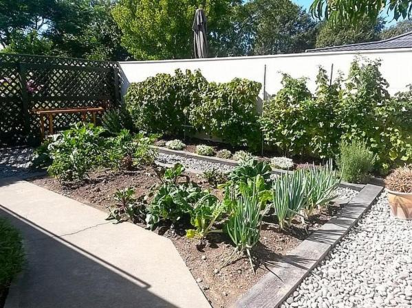 Photo of Others in Springlands