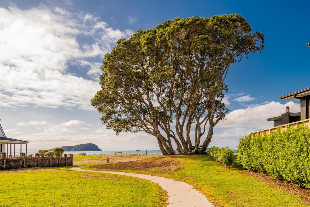 Photo of Others in Pauanui