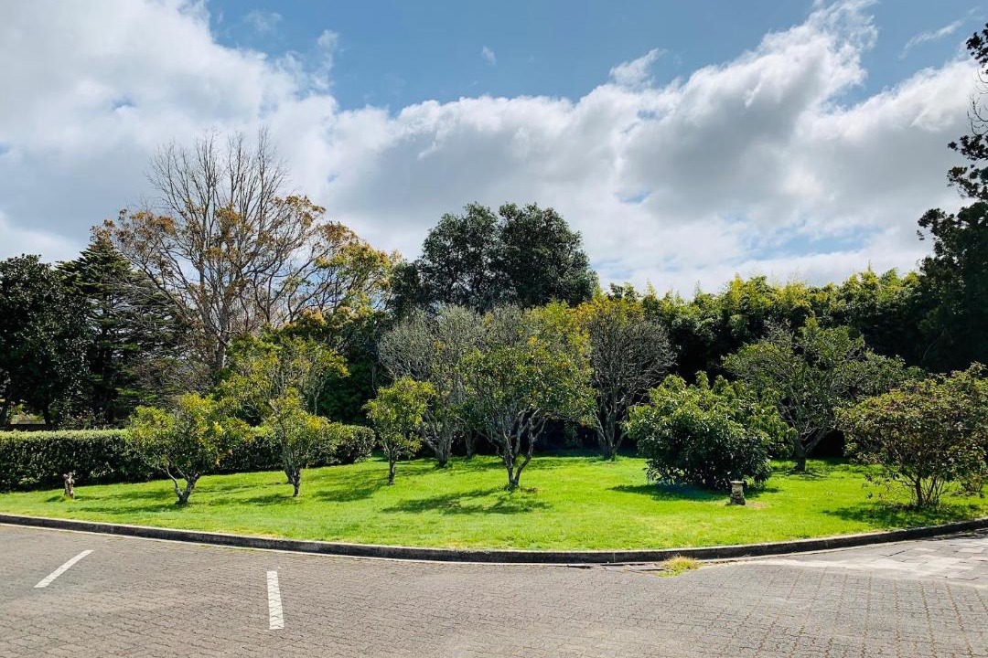 Photo of Others in Whitianga