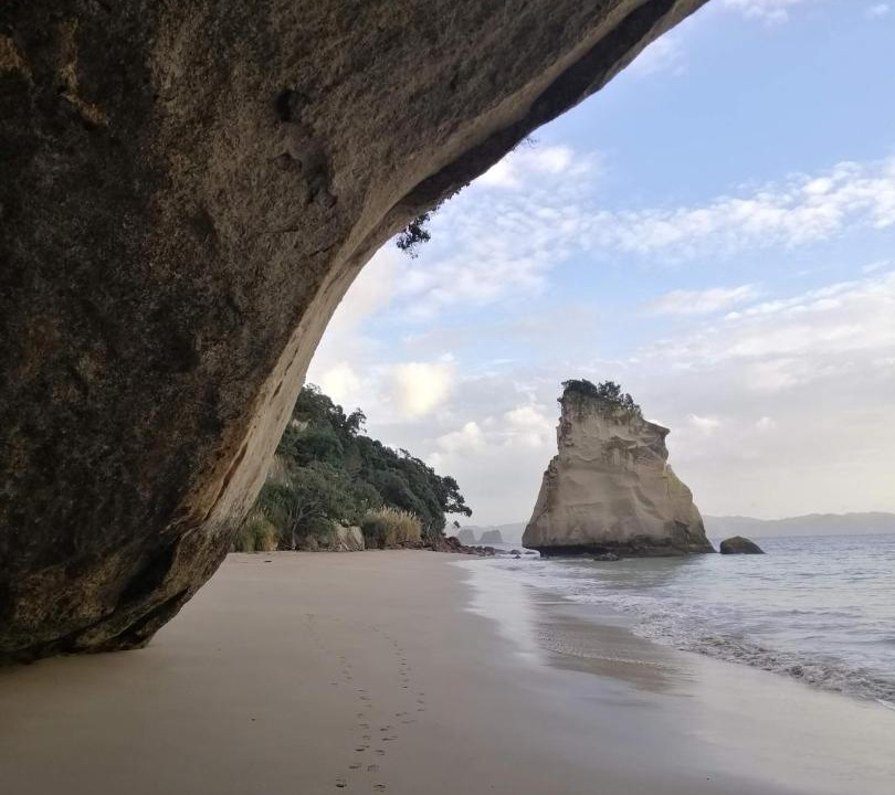 Photo of Outdoor in Hahei