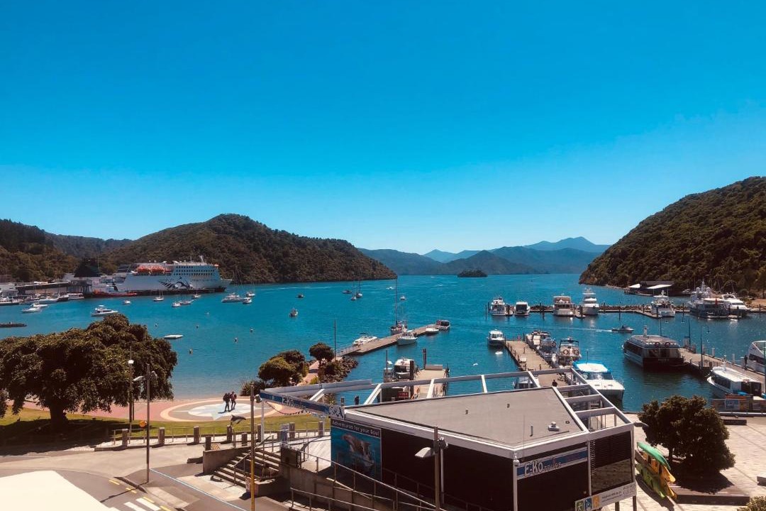 Photo of Others in Picton