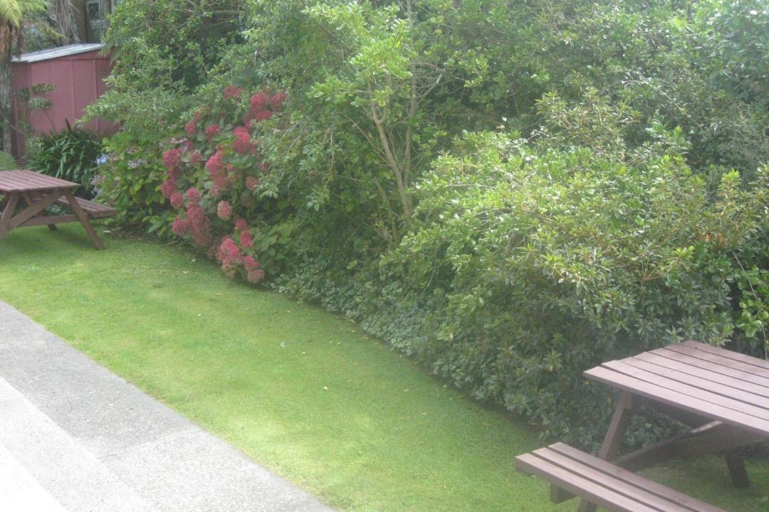 Photo of Others in Westport