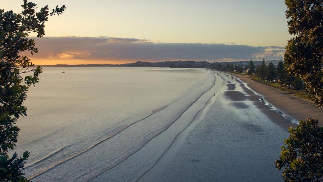 Photo of Others in Orewa