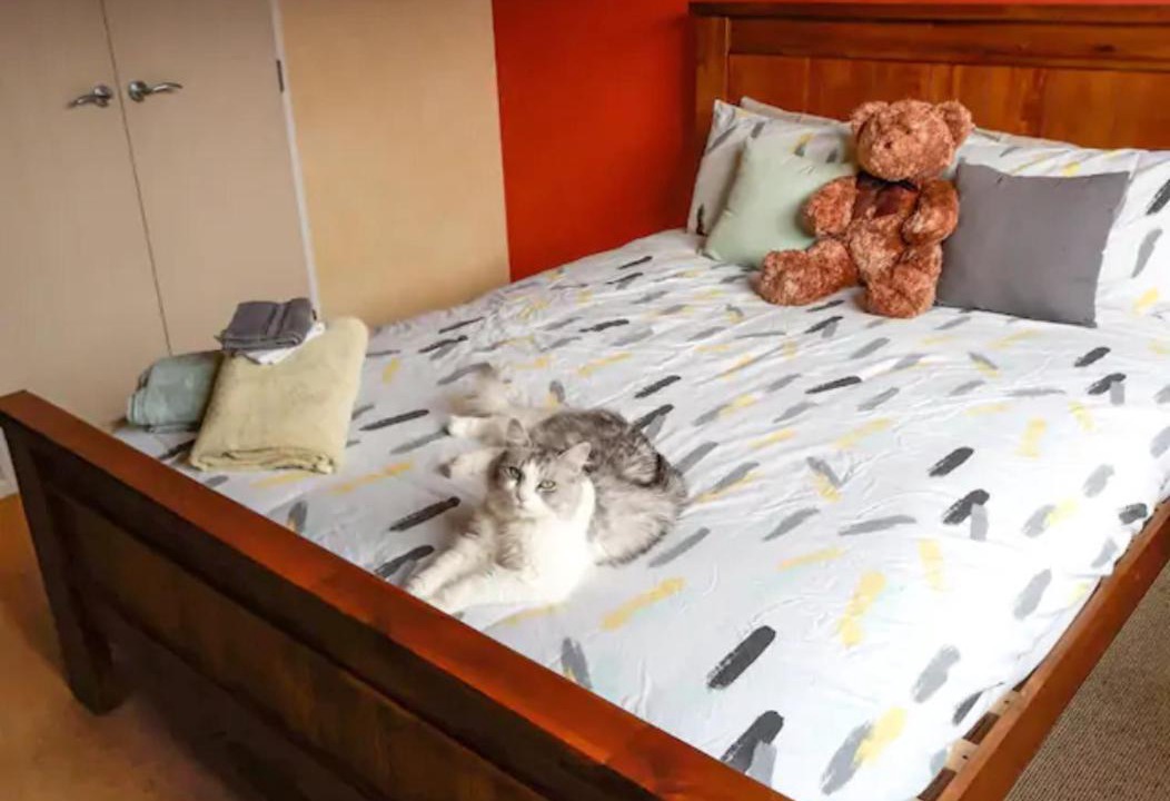 Photo of Bedroom in Paraparaumu Beach