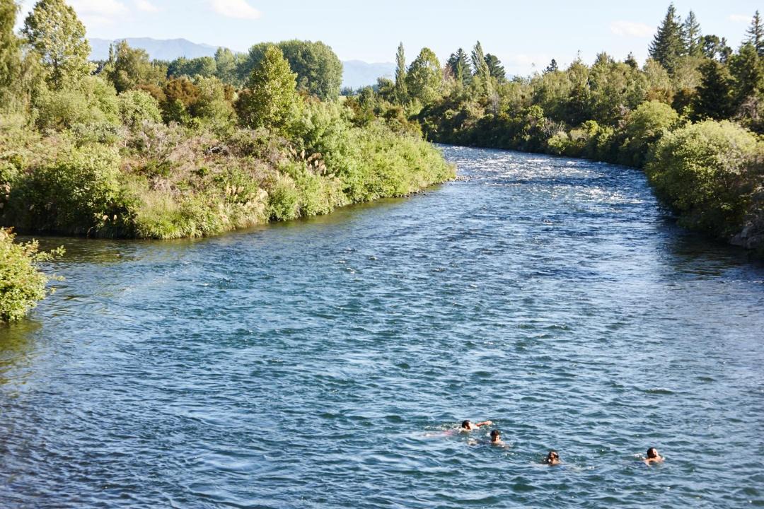 Photo of Others in Turangi