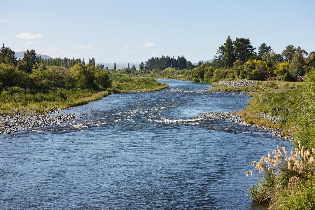 Photo of Others in Turangi