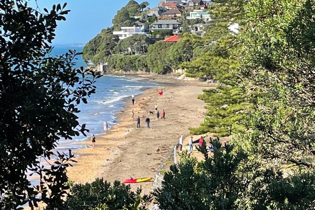 Photo of Others in Mairangi Bay