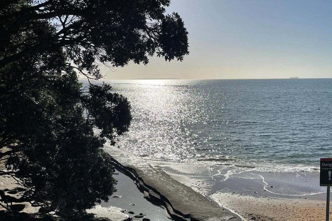 Photo of Others in Mairangi Bay