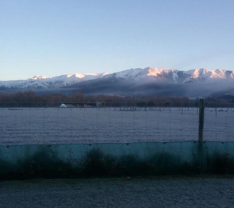 Photo of Others in Hanmer Springs