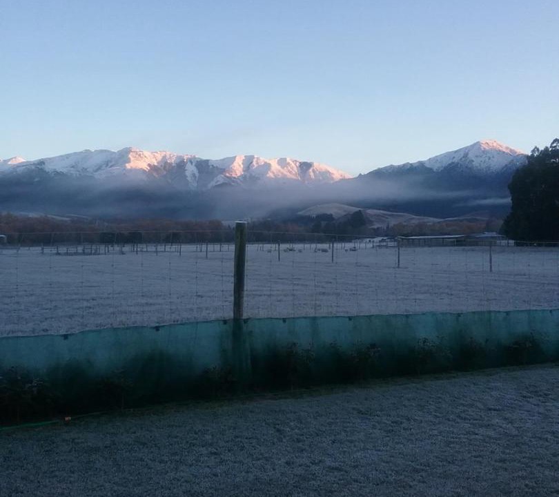 Photo of Others in Hanmer Springs