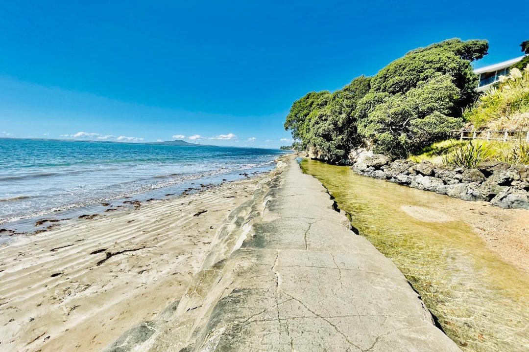 Photo of Others in Mairangi Bay