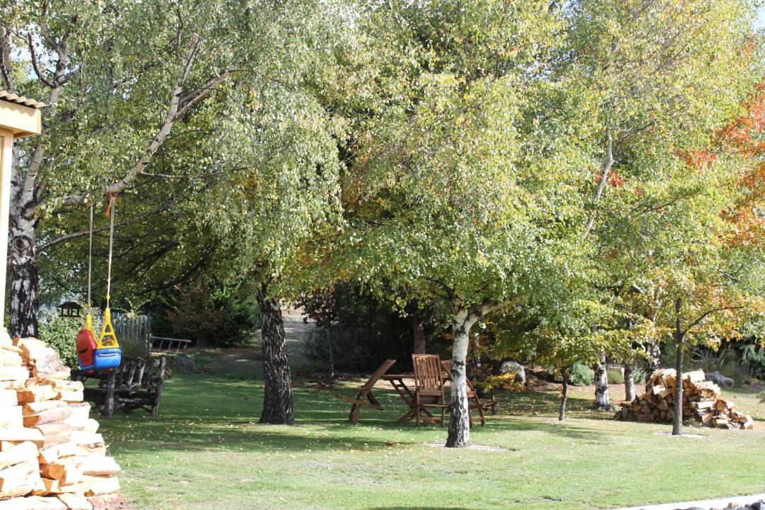 Photo of Others in Tekapo