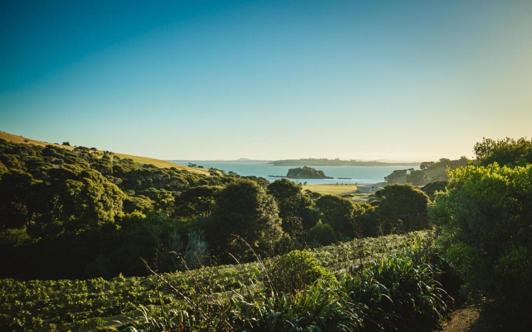 Photo of Outdoor in Oneroa